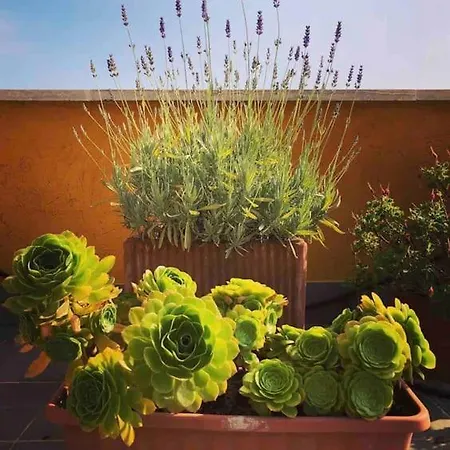 Loft In Garbatella 아파트 *