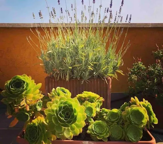 Loft In Garbatella Διαμέρισμα *